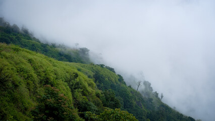fog in the mountains