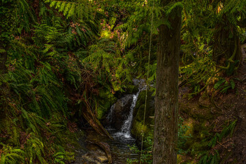 Waterfall Overlook