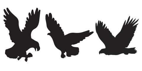 birds silhouette group