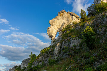 Góry w Olsztynie