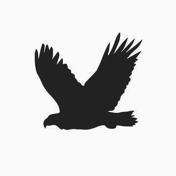 bird silhouette vector on white background