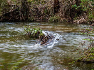 Swirling Around The Obstruction