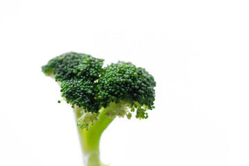 broccoli flowers on a white background