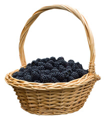 Fototapeta na wymiar Straw basket with blackberries closeup
