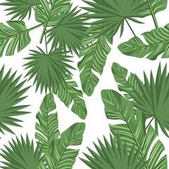 Seamless pattern of tropical leaves on a white background.Vector pattern can be used in textiles, paper.