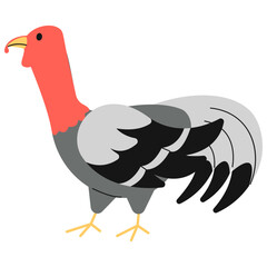 Female Turkey 3D Icon
