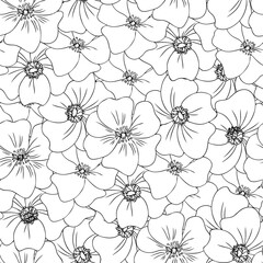 Seamless pattern Wild rose, briar hand drawn dogrose vector illustration isolated on white background, decorative rosehip line art for design cosmetic, natural medicine, herbal tea,health organic food