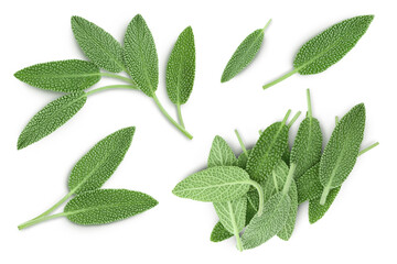 fresh sage herb isolated on white background with full depth of field, Top view. Flat lay