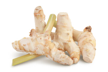 Fresh galangal root isolated on white background with full depth of field.