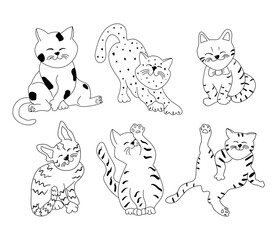 Obraz na płótnie Canvas Set of doodle cats in different poses. Vector hand drawn animals illustration