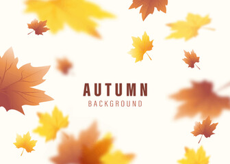 Fototapeta autumn background with yellow leaves vector and autumn leaves obraz