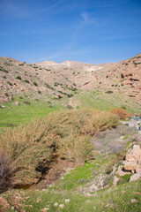 Mountains and nature of Jericho, Palestine