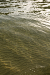 Sand beach. Calm shore. Tranquil and sunny day on vacation. Sandy texture. Pattern. Natural surface. Aqua. Reflection. Deep water. Light. Texture. Pure