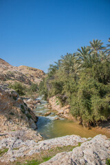 Mountains and nature of Jericho, Palestine