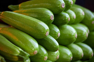 Fresh cropped green Zucchini. Offer in the vegetable market. summer squash. Close-up of a showcase of young zucchini in the store.