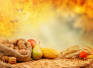Pear, walnut, spikelets, and corn on harvest table with autumn background - Thanksgiving 