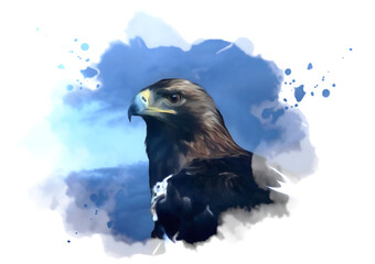 Painting eagle head