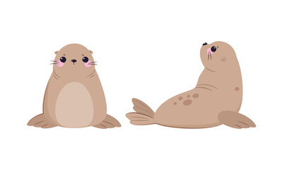 Funny Seal with Cute Snout Having Beige Fur and Fins Sitting and Lying Vector Set