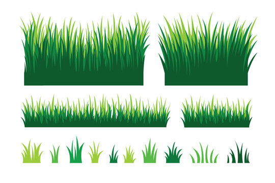 Green grass collection. landscape design herb element set. 