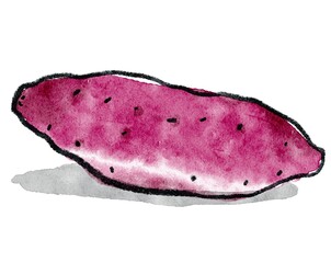 さつまいもの手描きイラスト