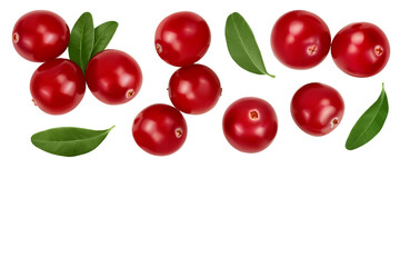 Cranberry with leaves isolated on white background with full depth of field. Top view with copy space for your text. Flat lay