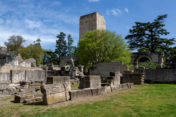 Fototapeta na wymiar View of the roman ruins of Arles archaeological park in Provence, France