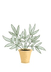Houseplant in a pot with white and green leaves hand drawn in a flat style