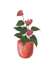 Anthurium in a pot hand drawn in a flat style