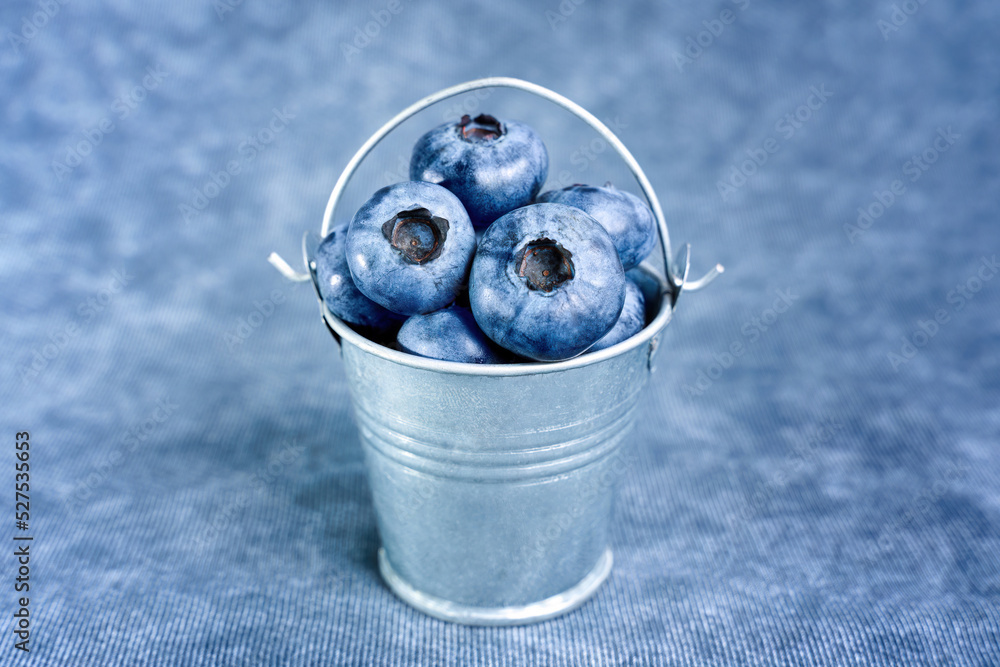 Canvas Prints Miniature bucket of blueberries on blue