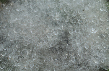 The texture of the cotton with the grains of water trapped in it