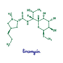 Lincomycin hand drawn vector formula chemical structure lettering blue green