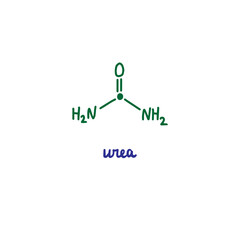 Urea hand drawn vector formula chemical structure lettering blue green