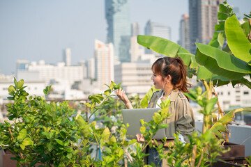 business man city roof owner natural vegetable garden plant grow organic work happy farmer planting harvest.E-commerce community, architecture and landscape.
