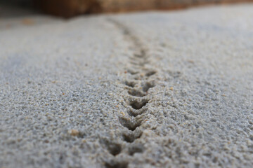Fototapeta na wymiar White sand with a pattern formed by rain drops