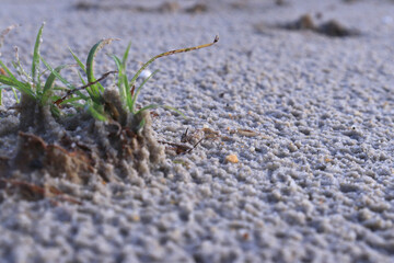 White sand with a pattern formed by rain drops