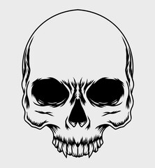 skull head Vector Illustration
