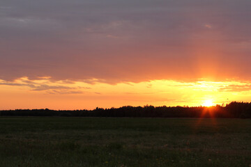 evening landscape with the setting sun, clouds over a forest with a field. last rays of sunset