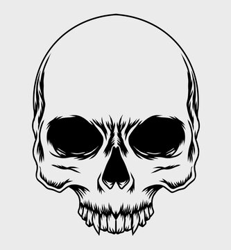 skull head Vector Illustration