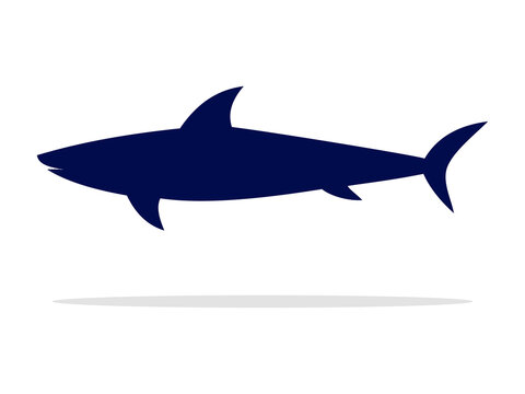  Shark silhouette. Shark Icon Isolated On White Background vector
