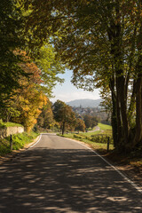 Country road in autumn, Gailingen, Baden-Wuerttemberg, Germany