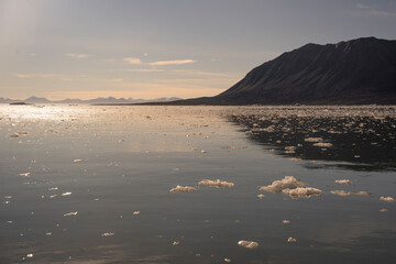 Fototapeta premium ice pieces floating in the water of the arctic ocean in Svalbard islands (Norway)