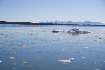 ice pieces floating in the water of the arctic ocean in Svalbard islands (Norway)