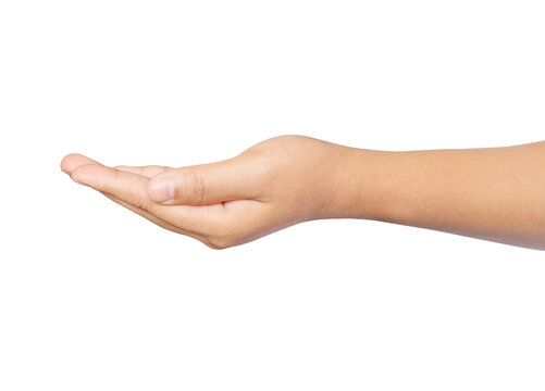 Empty open hand holding of woman isolated ,Palm up