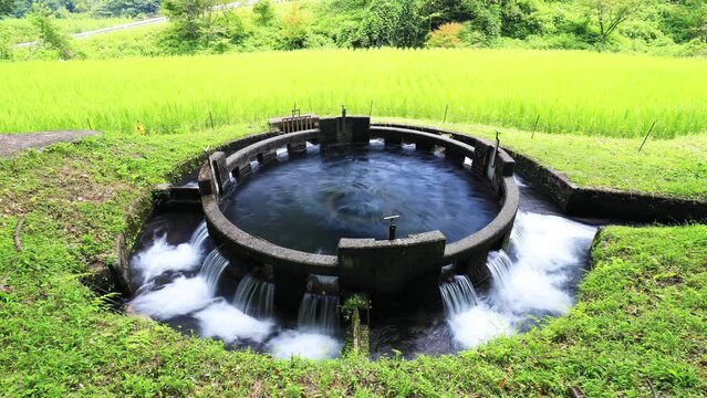 夏の音無井路十二号円形分水　タイムラプス　大分県竹田市
