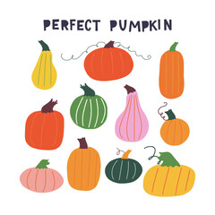 Set of funny colorful hand drawn pumpkins of different shapes and sizes. Clipart illustrations of autumn vegetables for Holiday season.