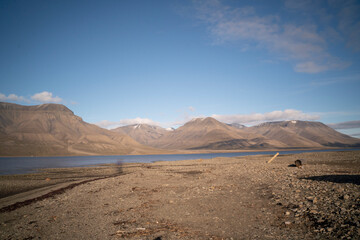 landscape view of the sea in the coast of Svalbard in the arctic ocean