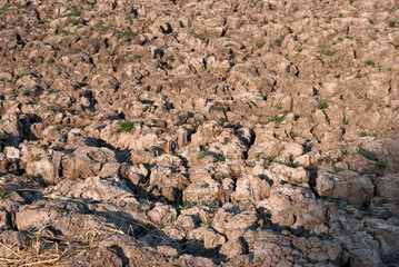 The dry land in the fields.