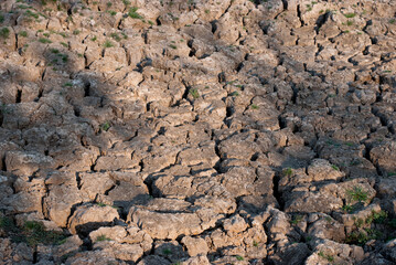 Dry soil conditions in the fields.