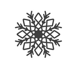 Snowflake icon. Frozen snow. Snow flake.
