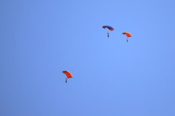 Fototapeta na wymiar Skydivers descends on a parachute